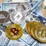 Bitcoin Wallets Safeguarding and Managing Your Digital Assets