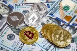 Bitcoin Wallets Safeguarding and Managing Your Digital Assets